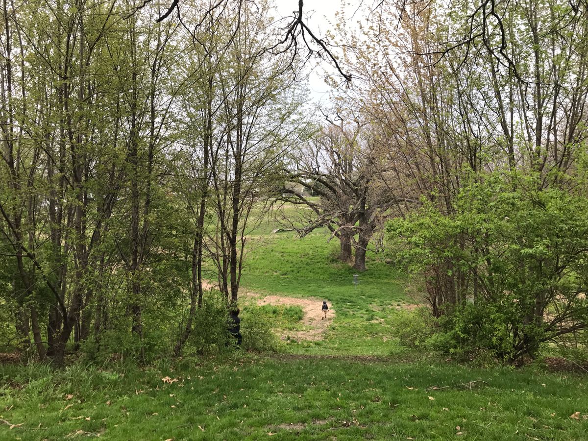 Downhill on Hole 5 after going thru the big trees