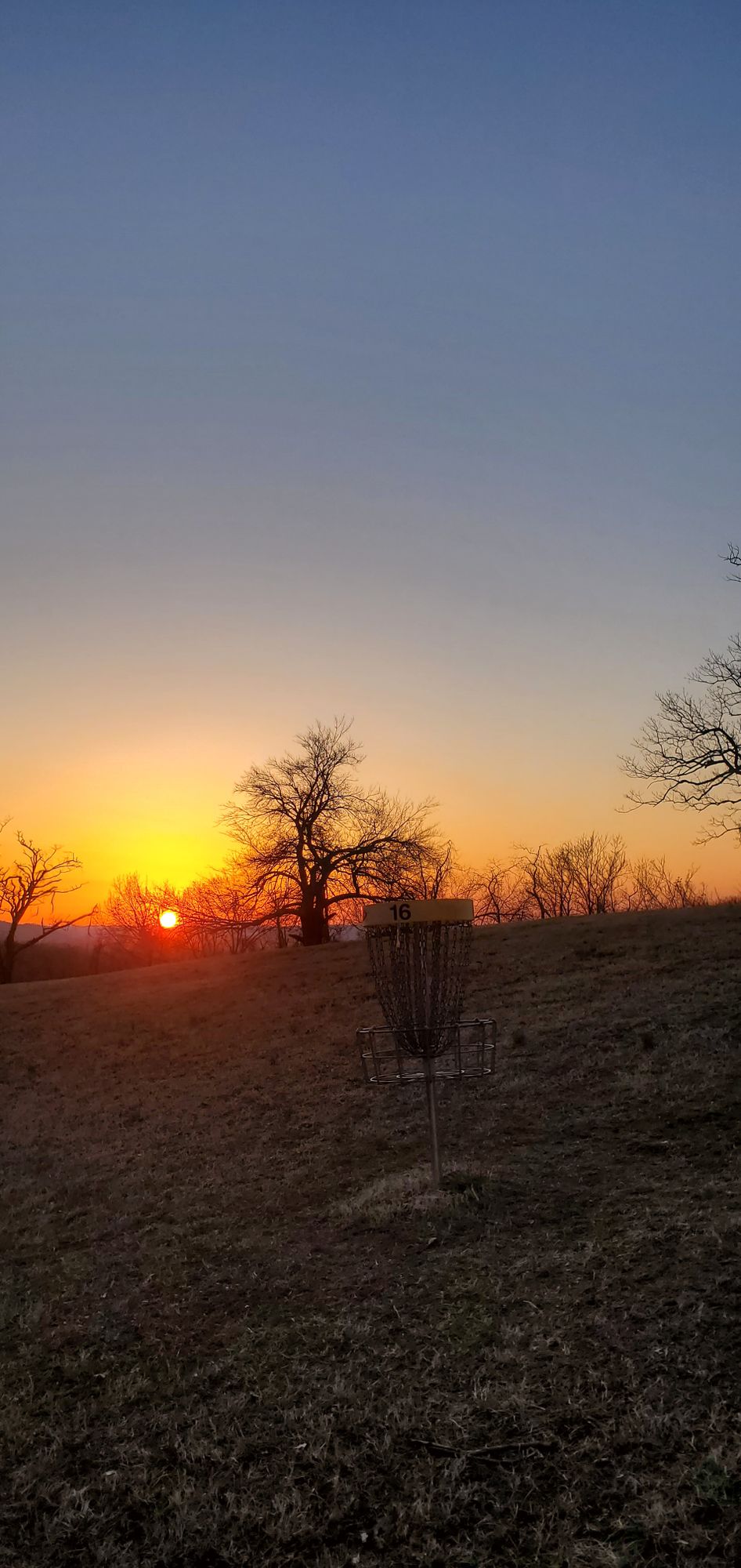 #5 basket at sunset