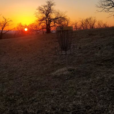#5 basket at sunset