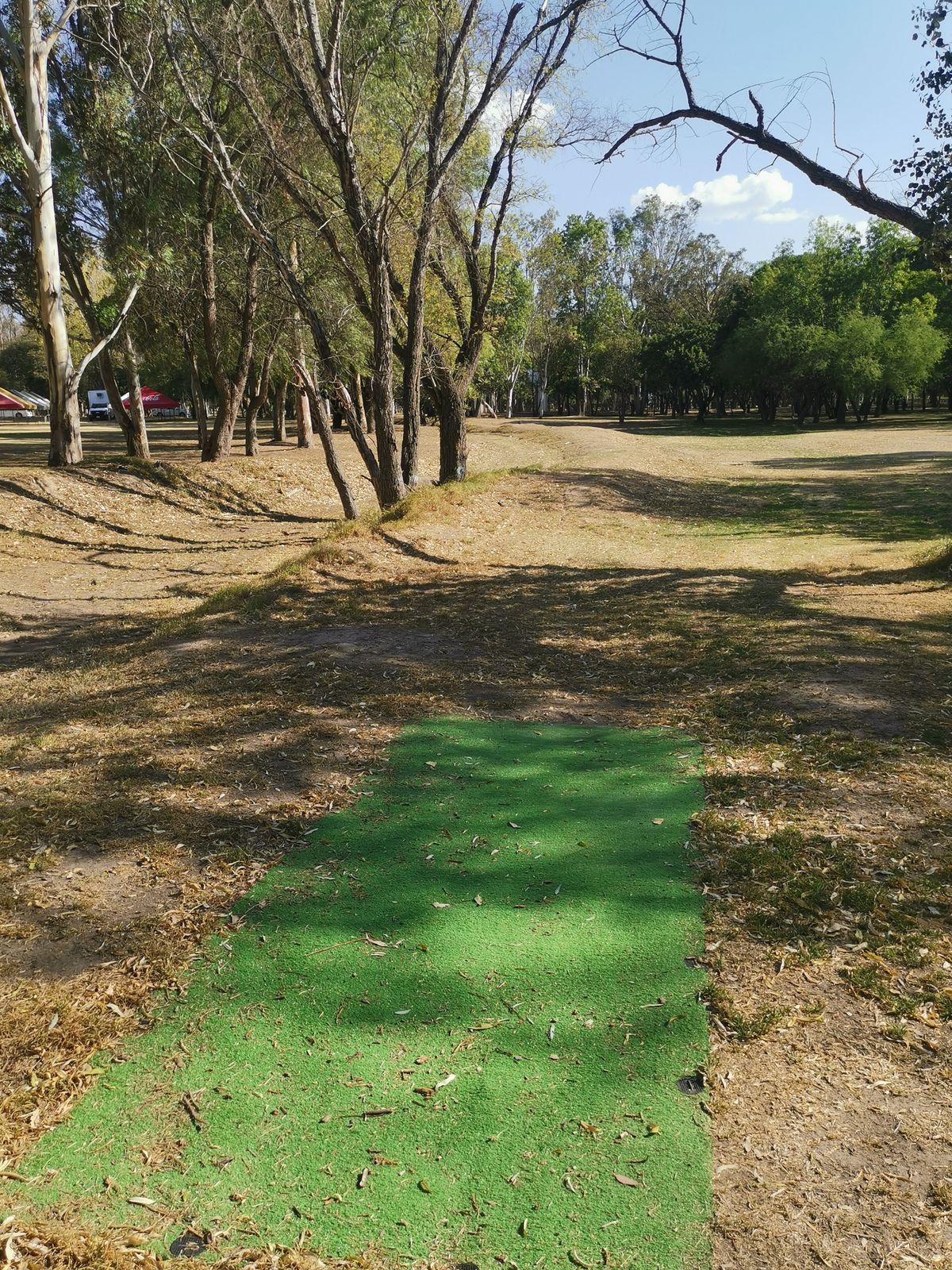 Tee H11