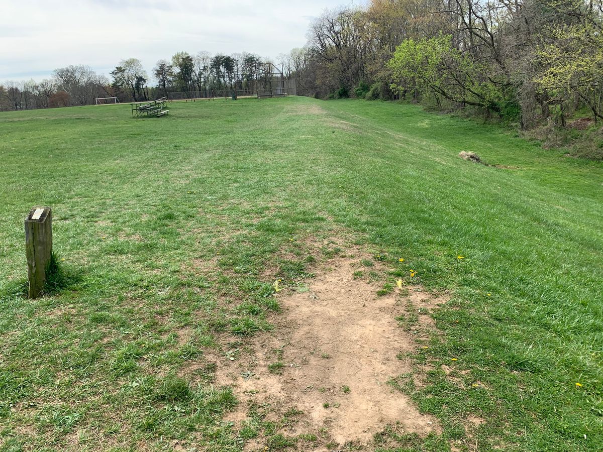 Hole 2 tee