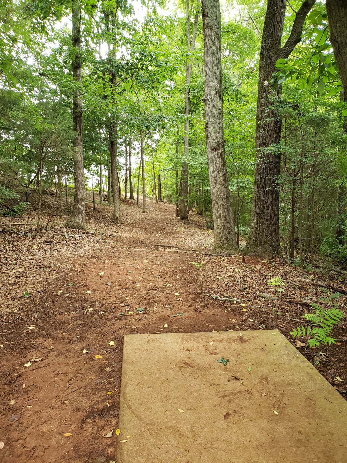 #14 Tee-Pad and Fairway