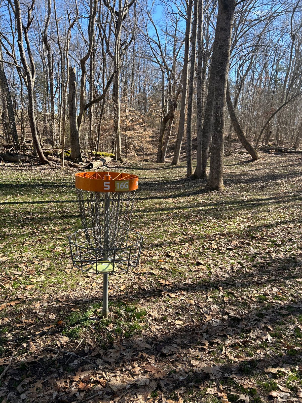 Hole 5 - really fun shot