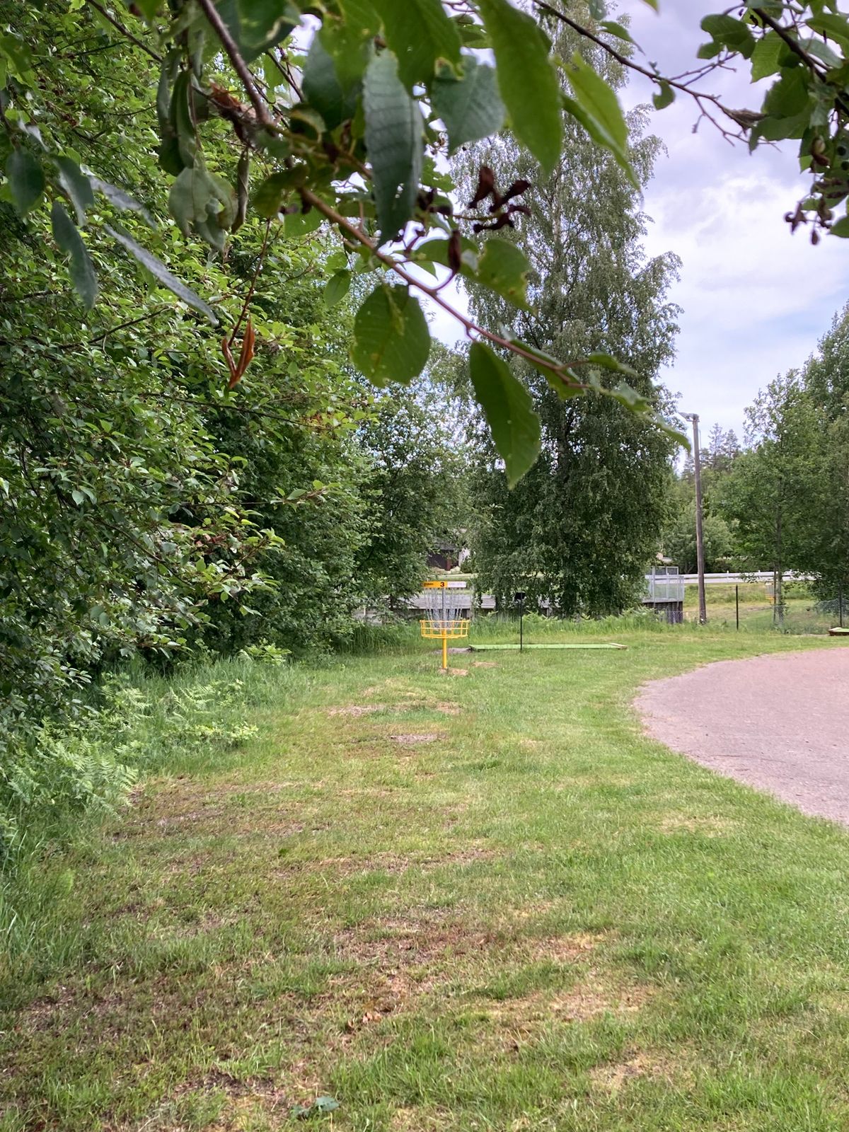 Green hål 3