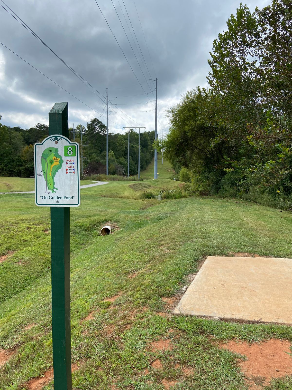 #8 Tee box
