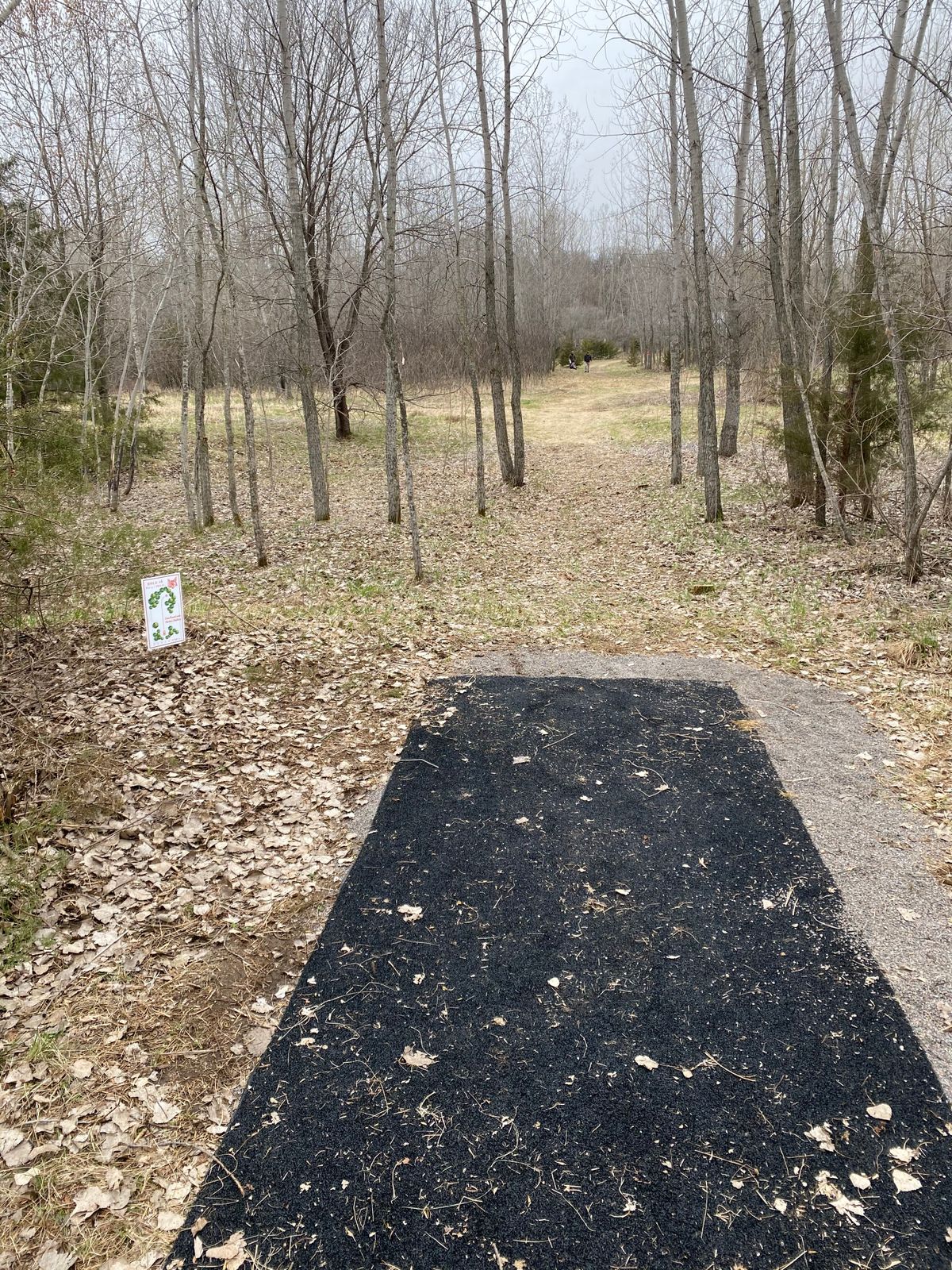 Hole 4 (April 2021)