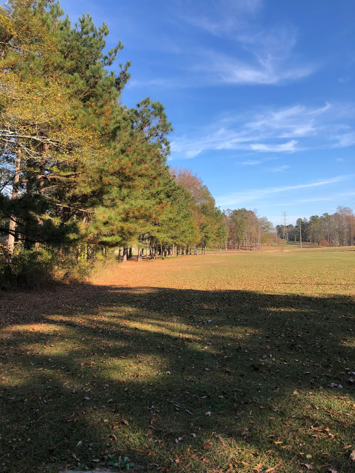 Hole 11