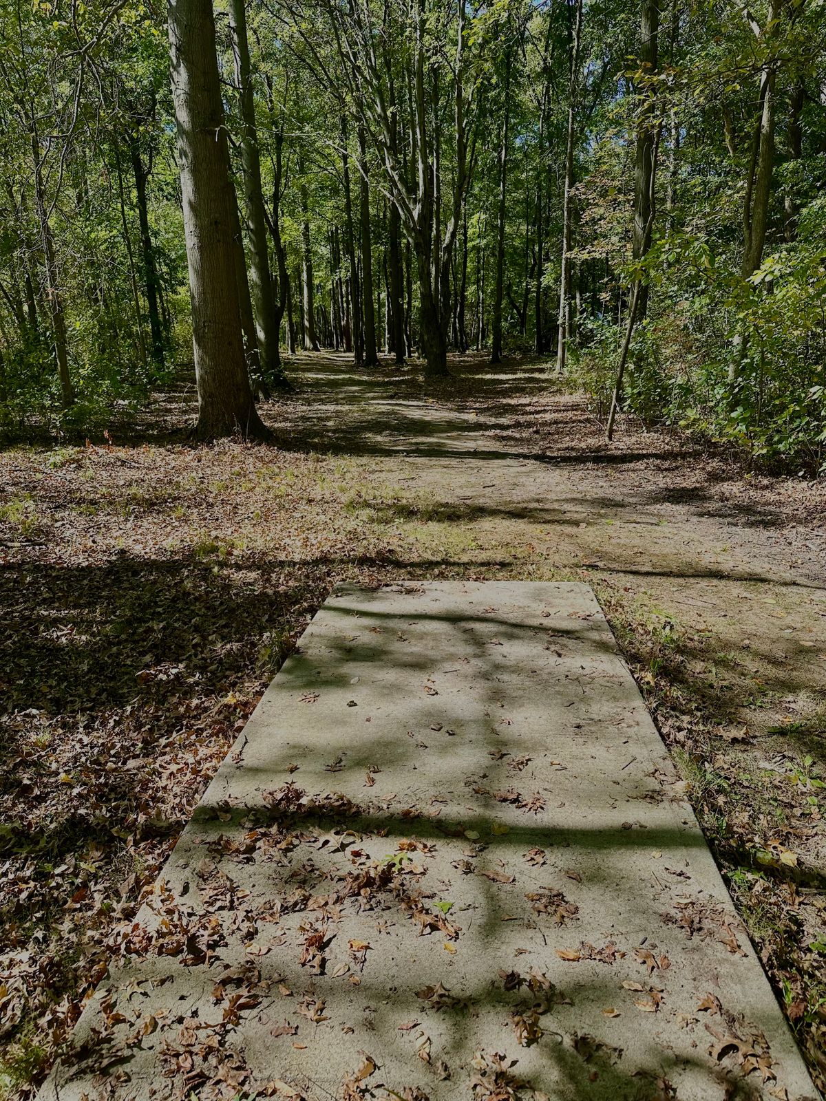 Tee Pad Hole 11