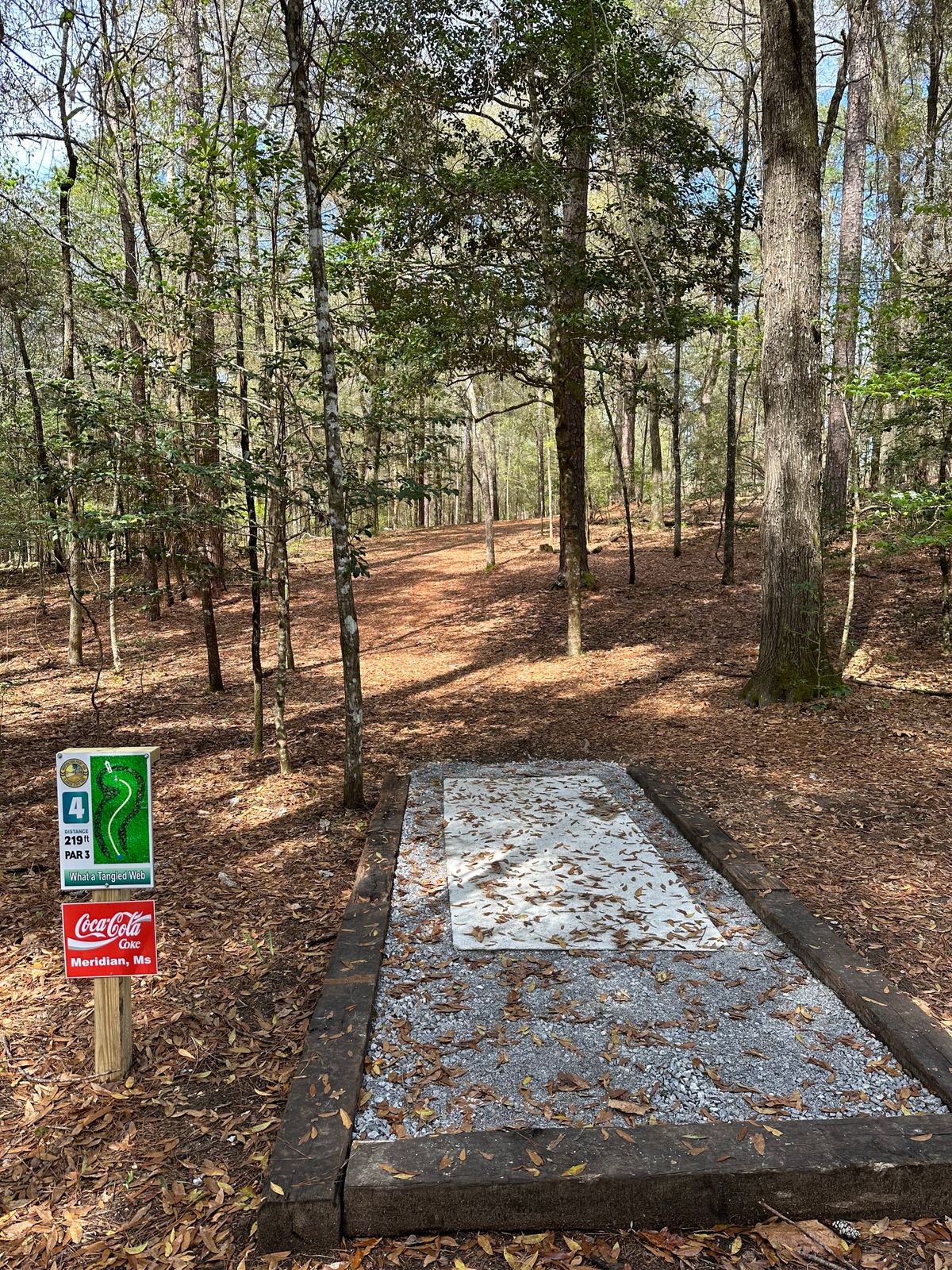 Hole 4s tee