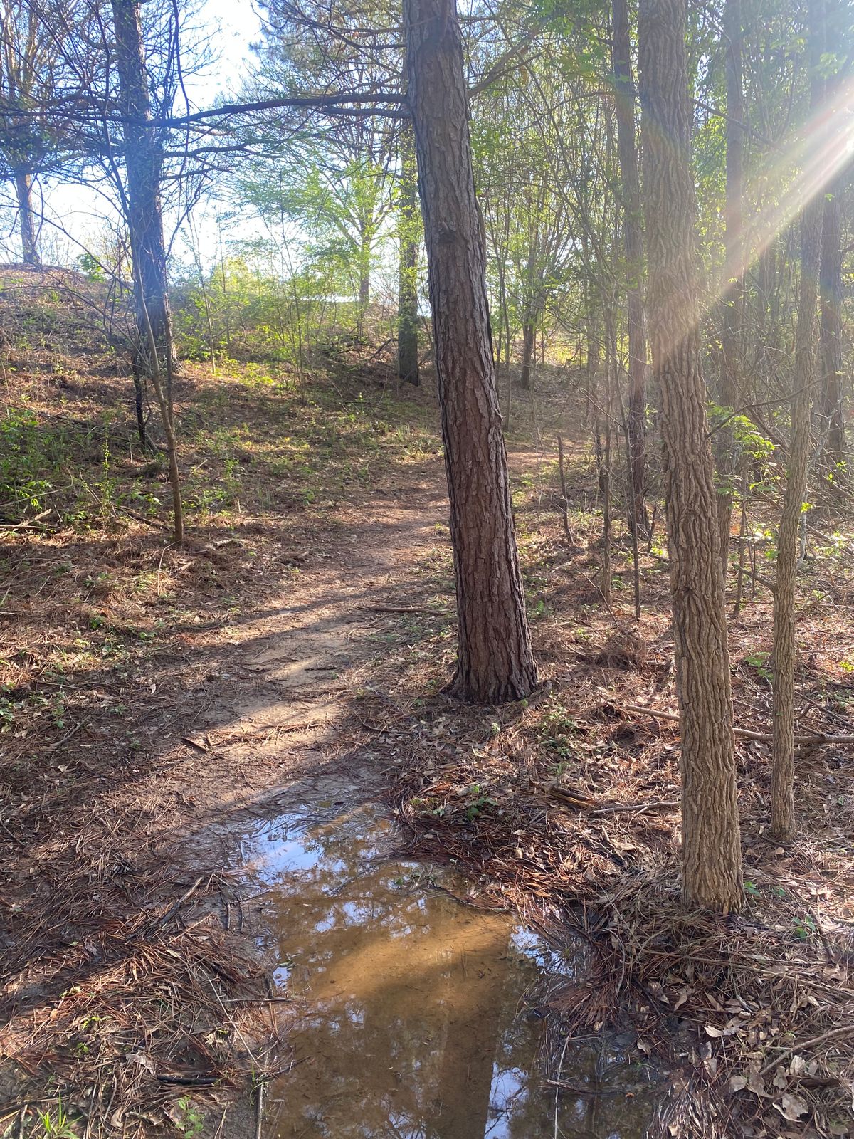 Path to 10