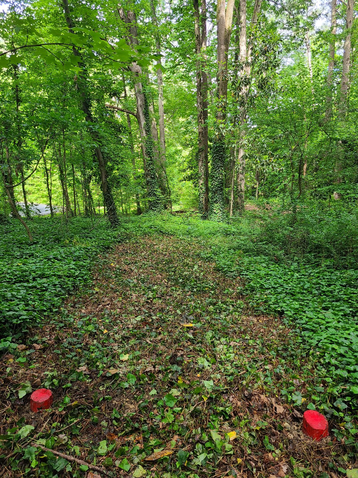 Hole 4