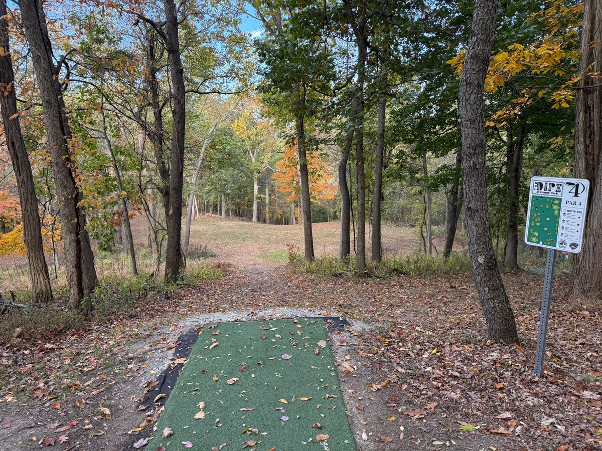 Hole 4 White (long) tee, Big downhill shot!