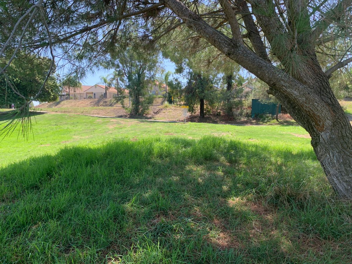 Omega Hole 17