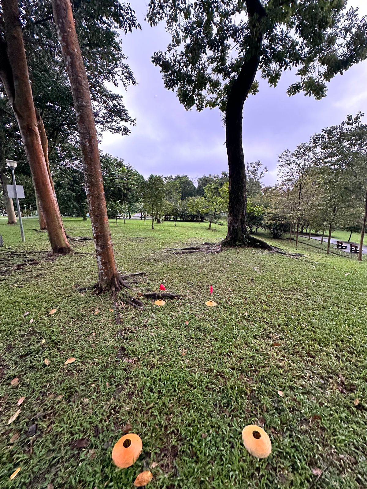 Hole 18 Teepad