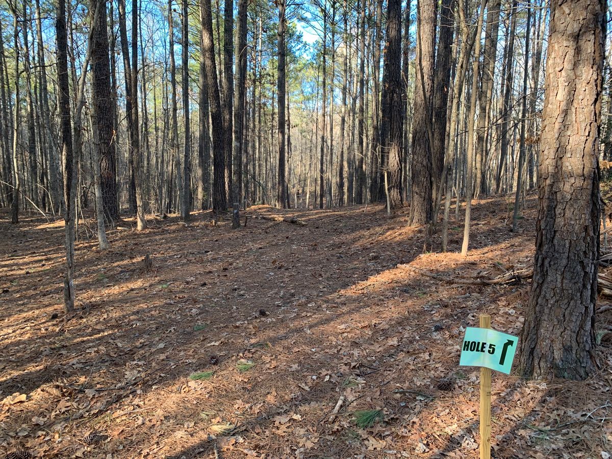 Hole 5 tee area