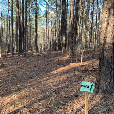 Hole 5 tee area
