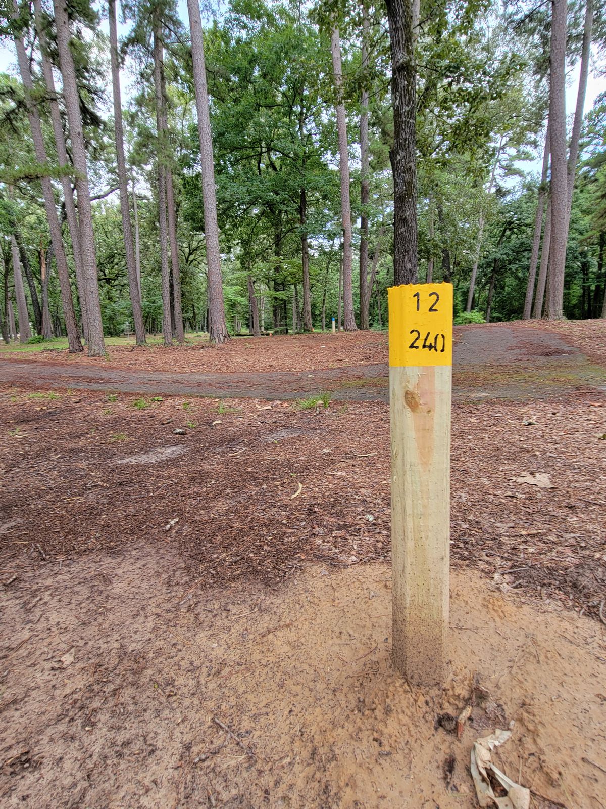 12th tee