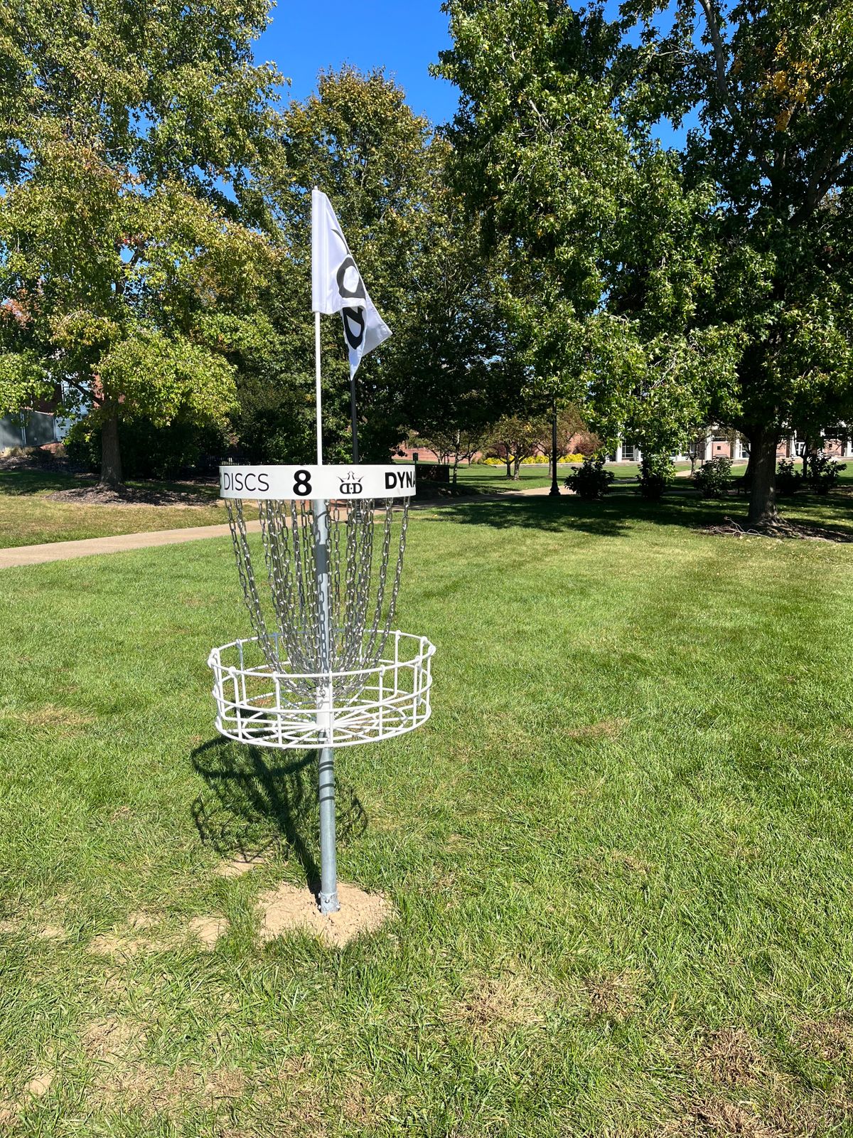 Hole 8 basket
