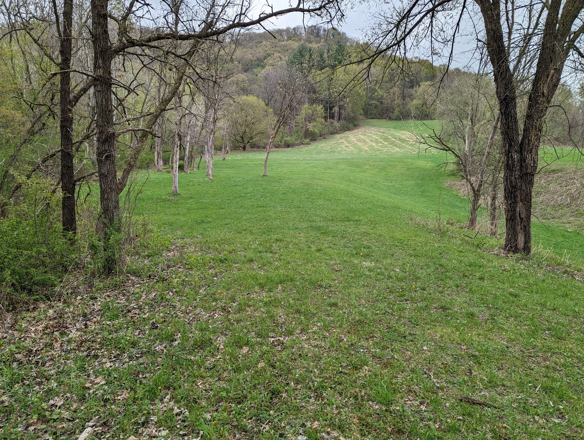 Hole 5