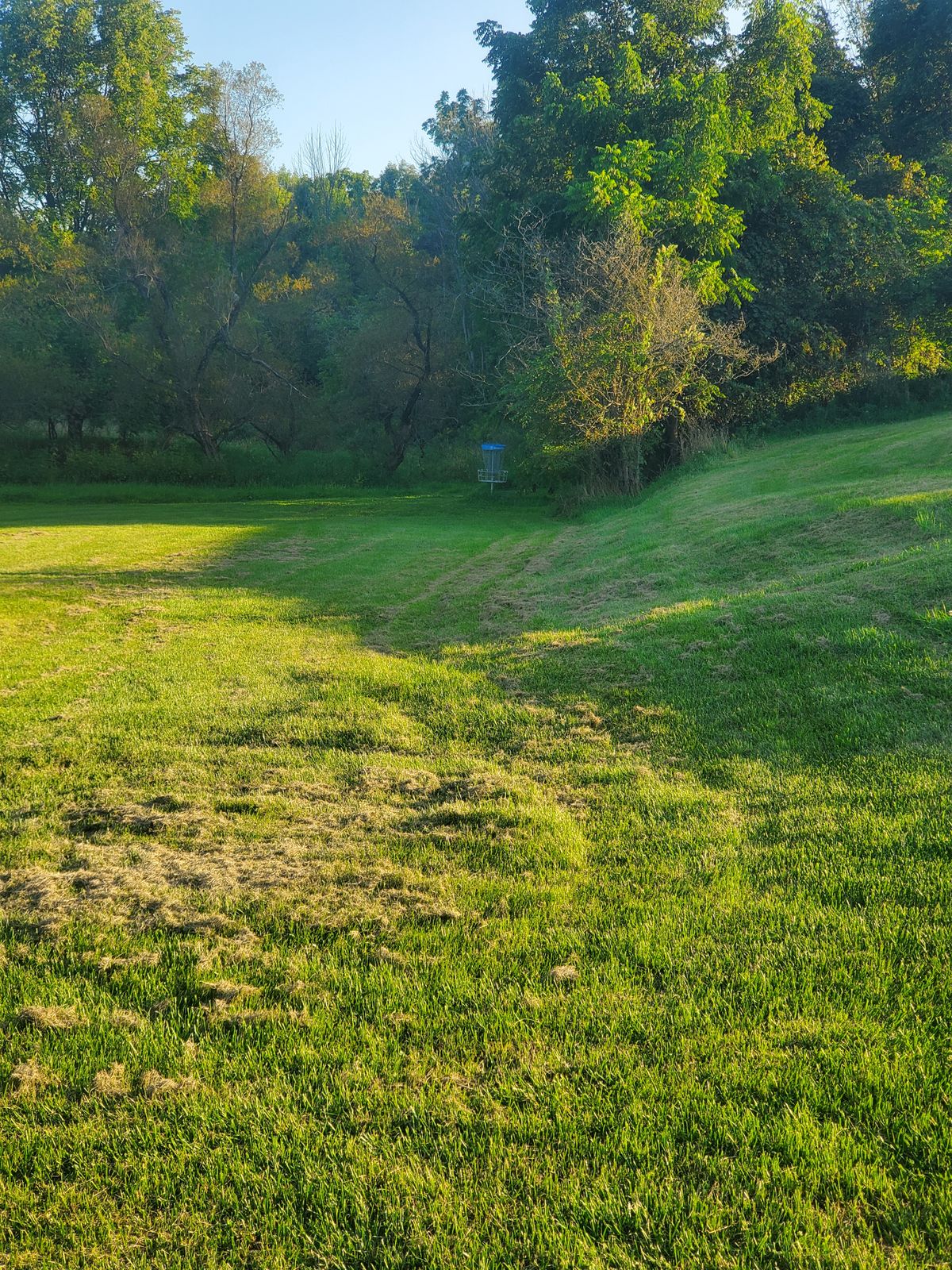 Hole 10 basket