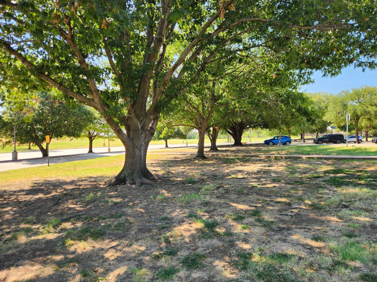Hole 4 fairway
