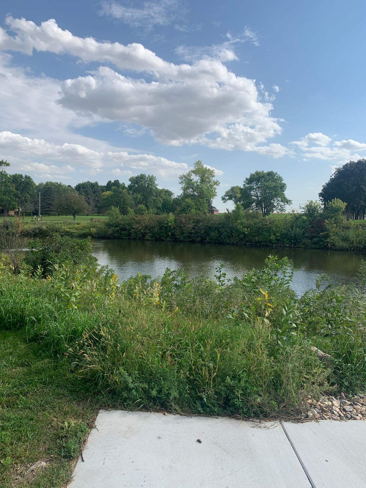View of hole 5 over the water.