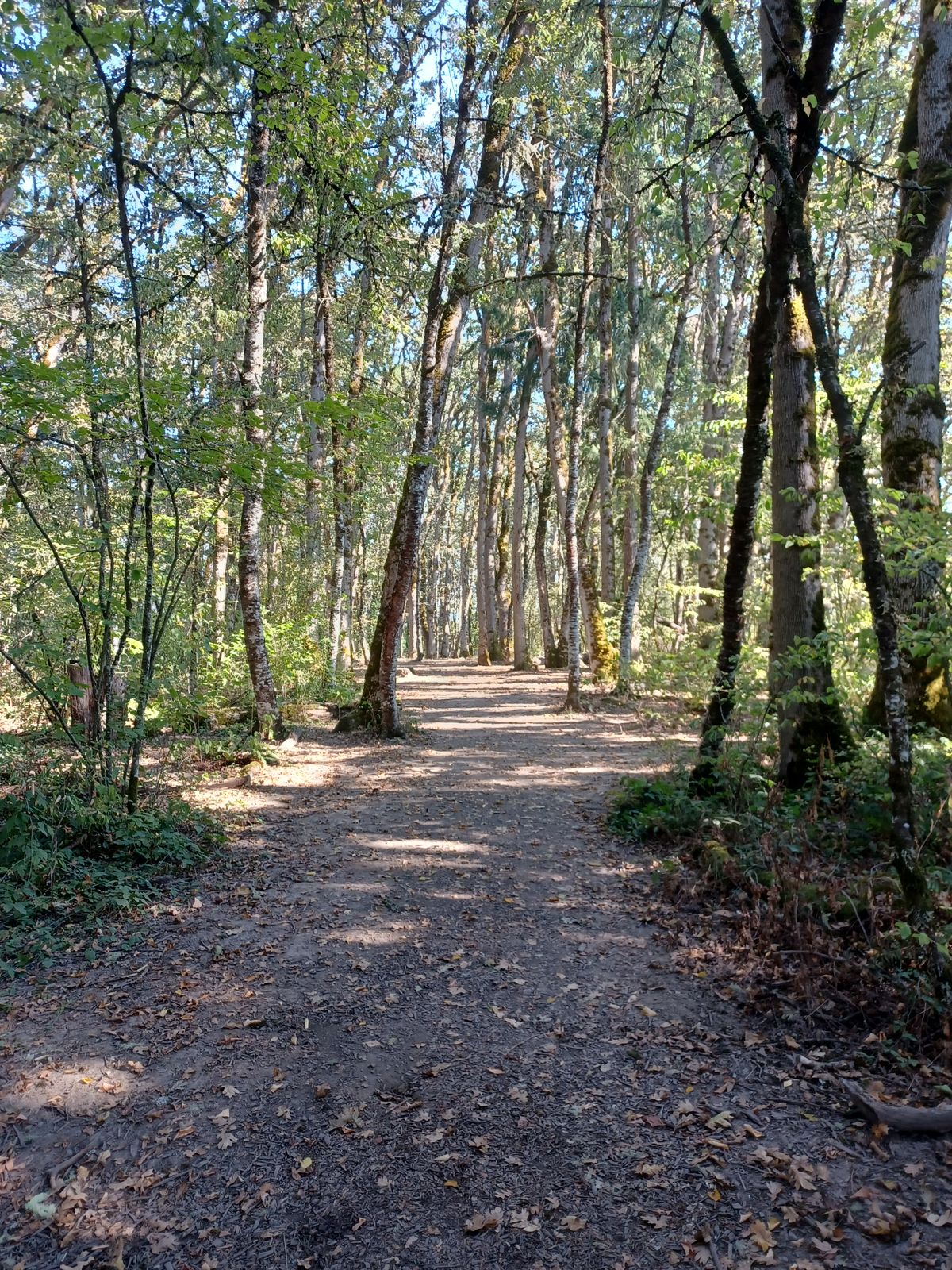 Hole 7