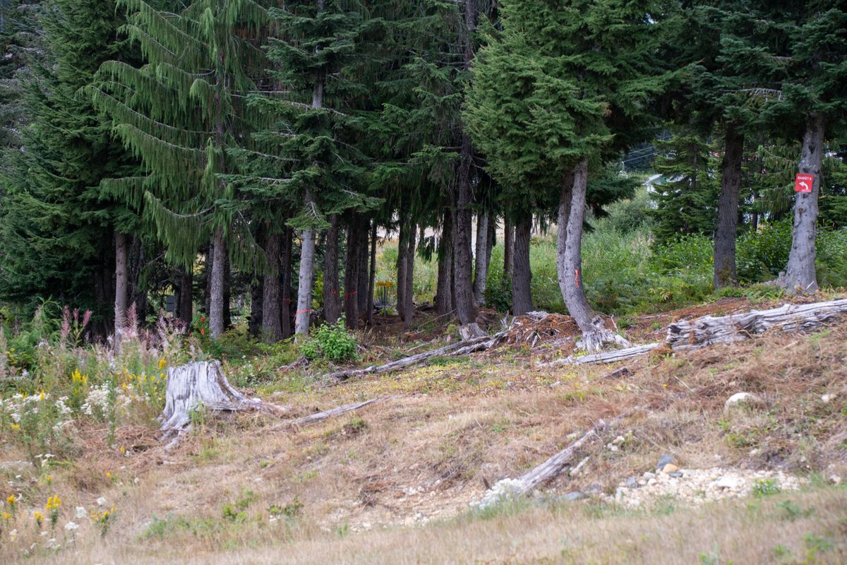 Hole 8, after the ridge