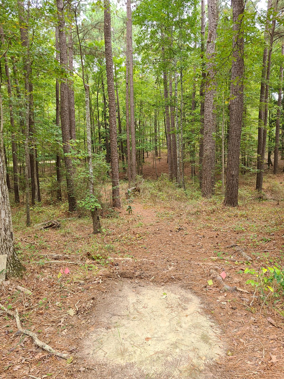 Hole 13
