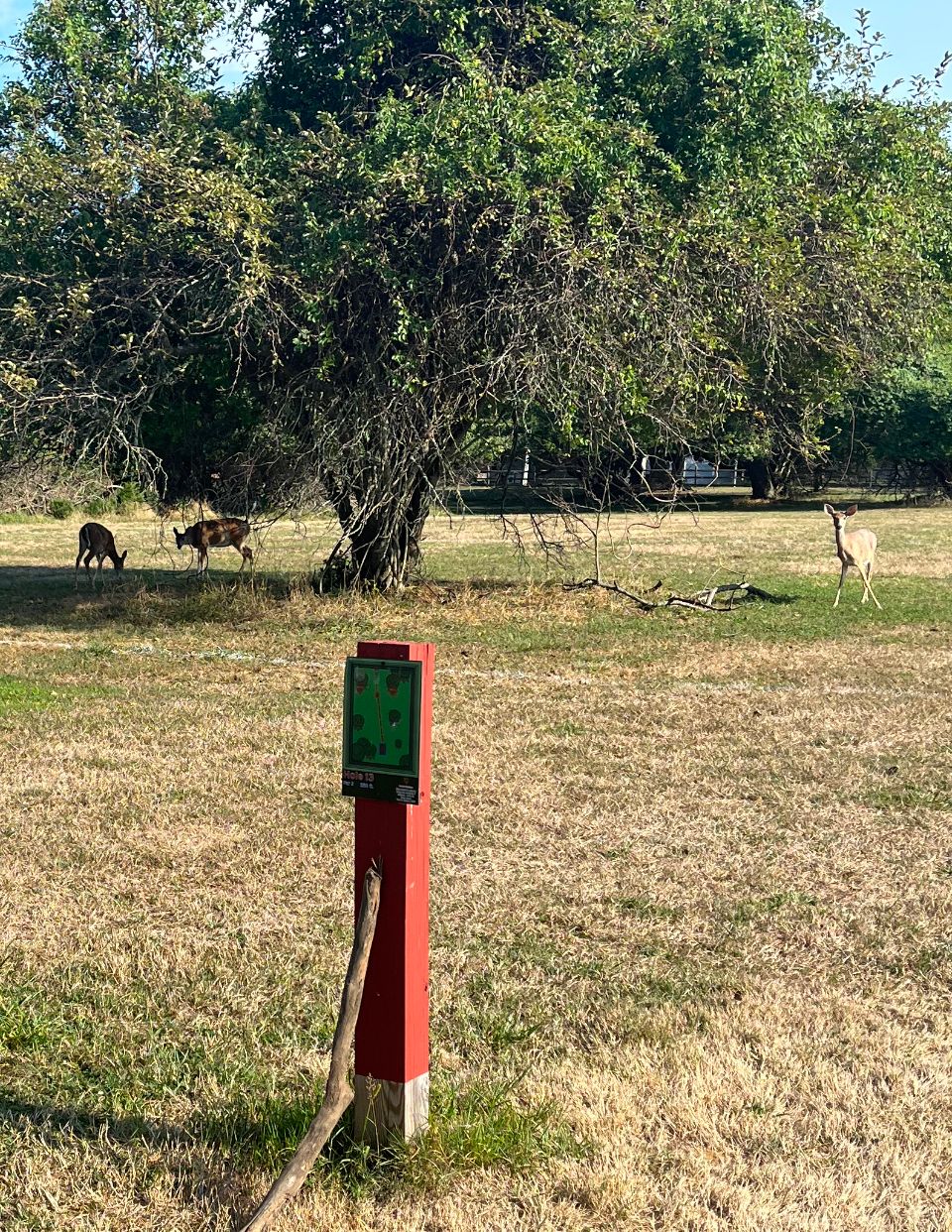 Had some friends at hole 13