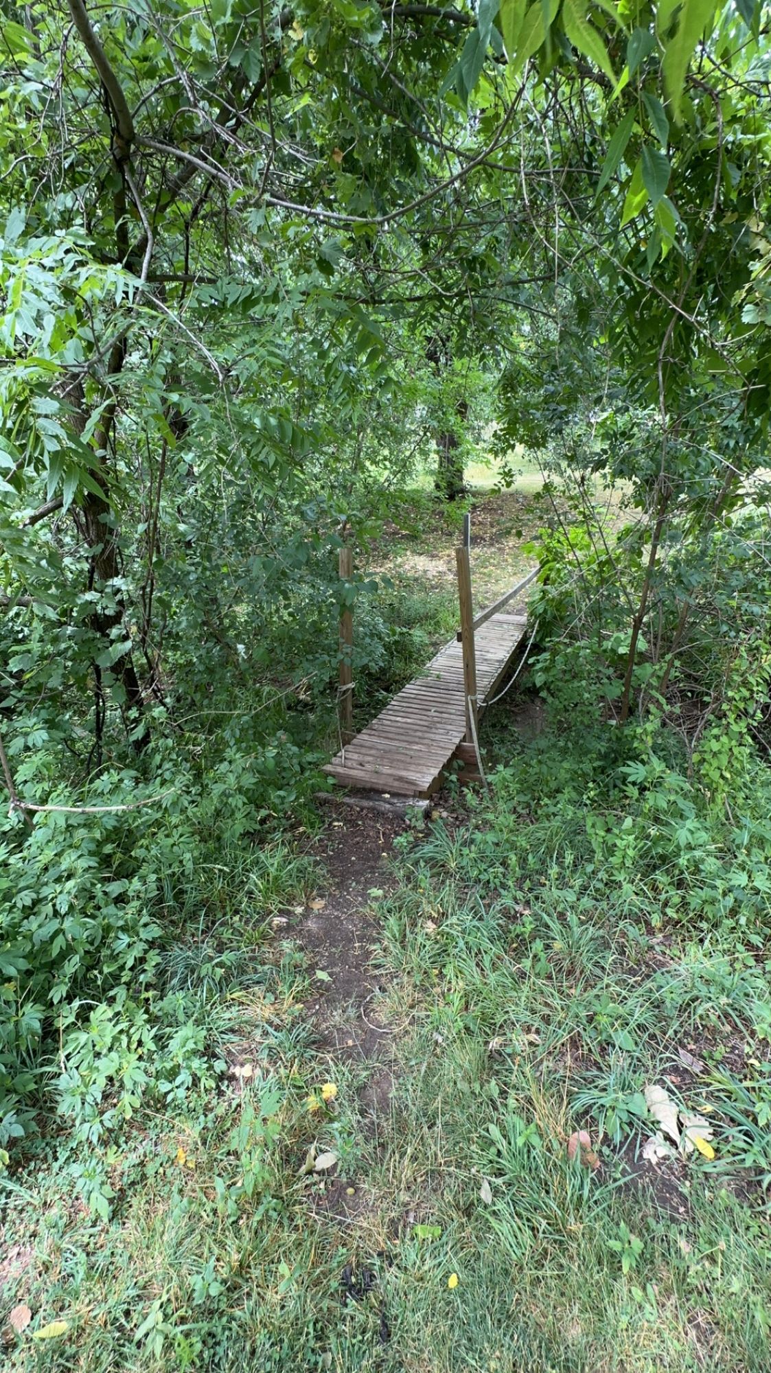 Updated Bridge on hole 7