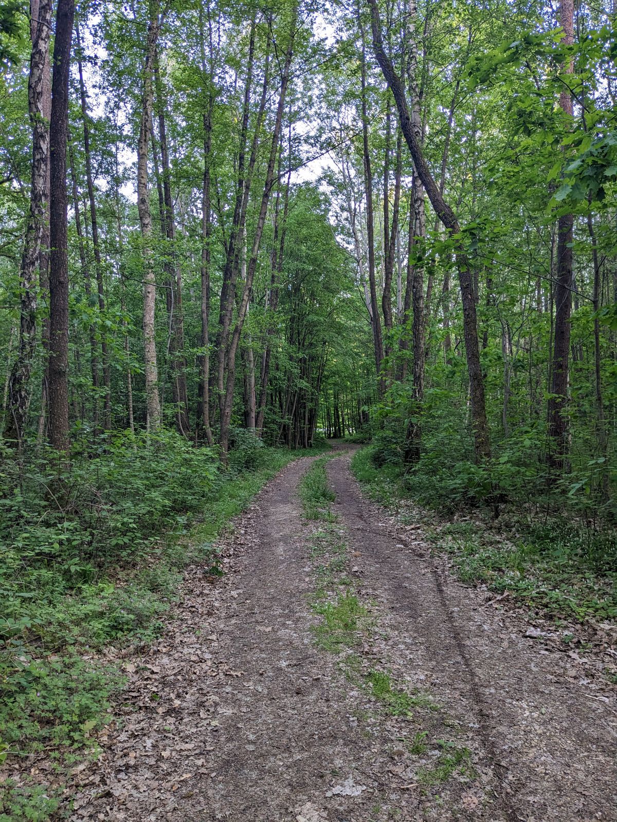Hole 6
