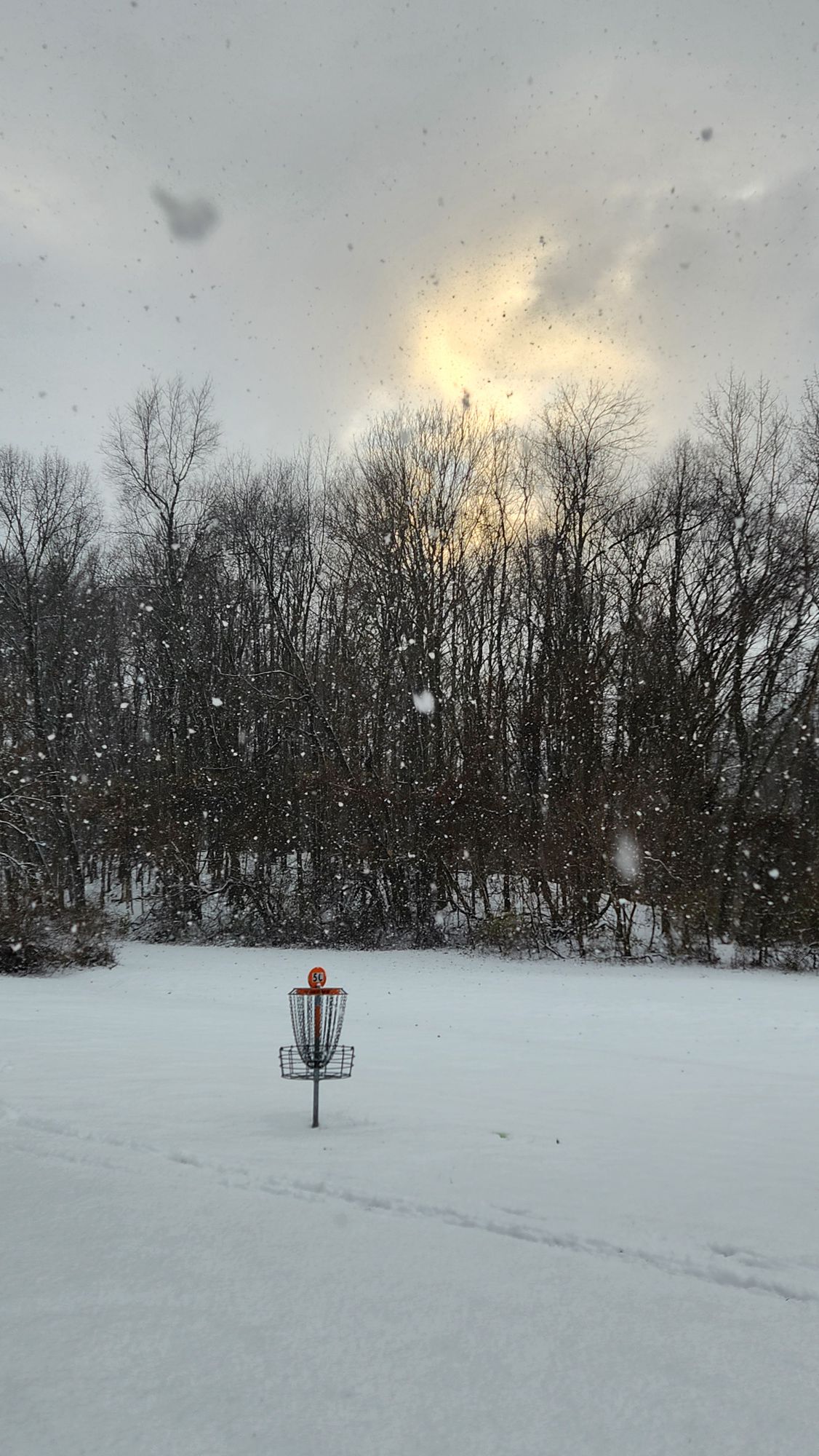 Hole 5C basket (Winter Layout)