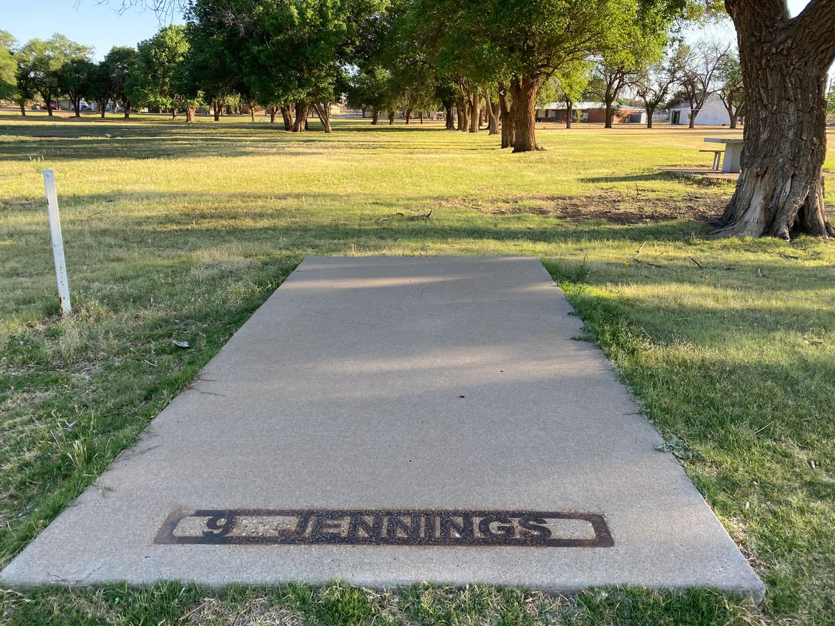 Waylon Jennings memorial