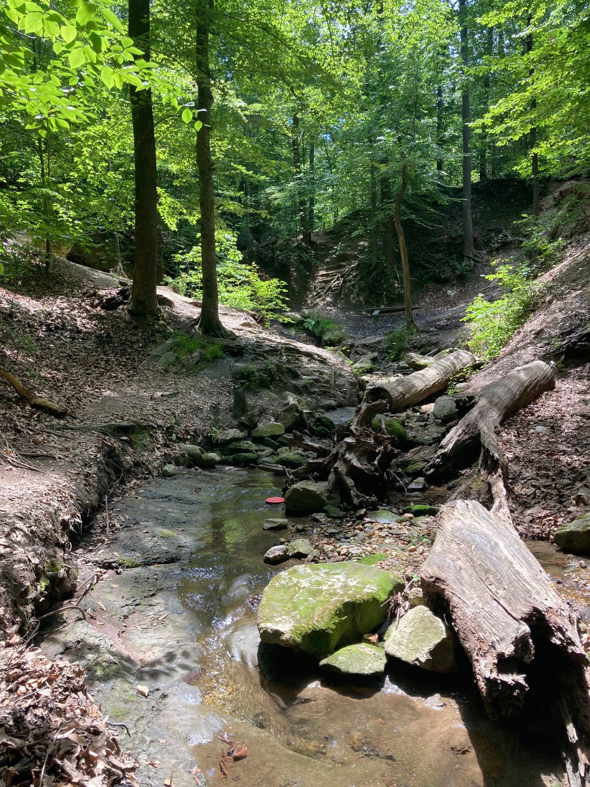 Creek path is basically your fairway here on 18.