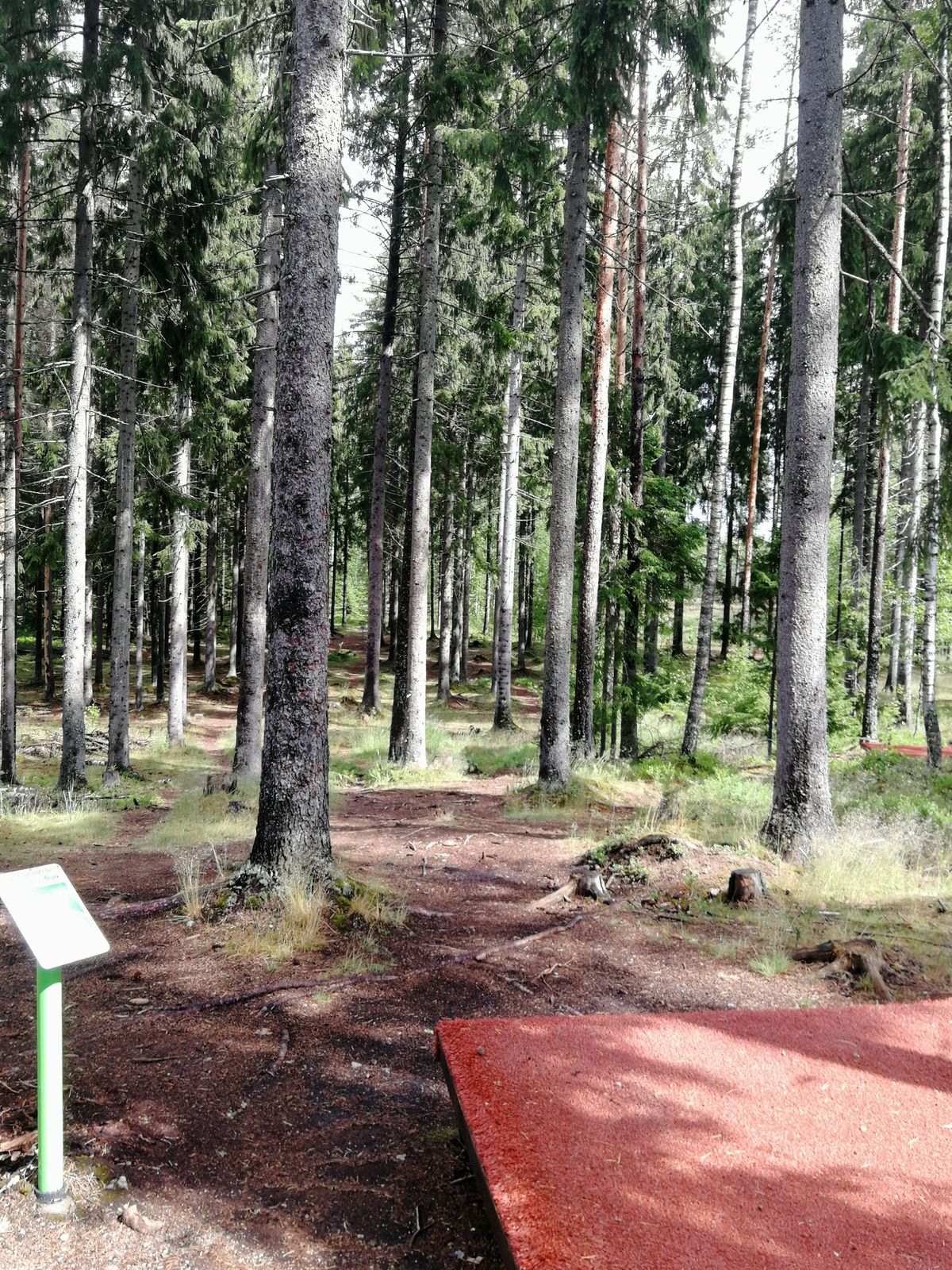 #16 tiiltä