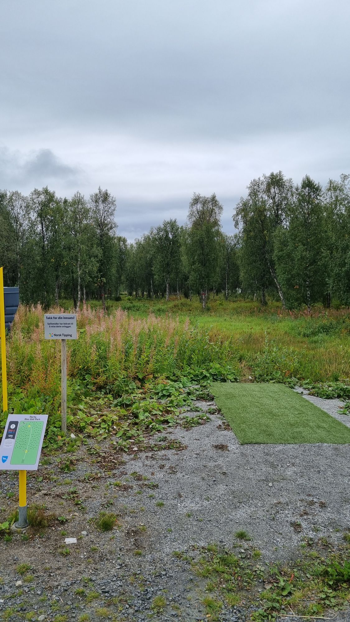 Tee 1