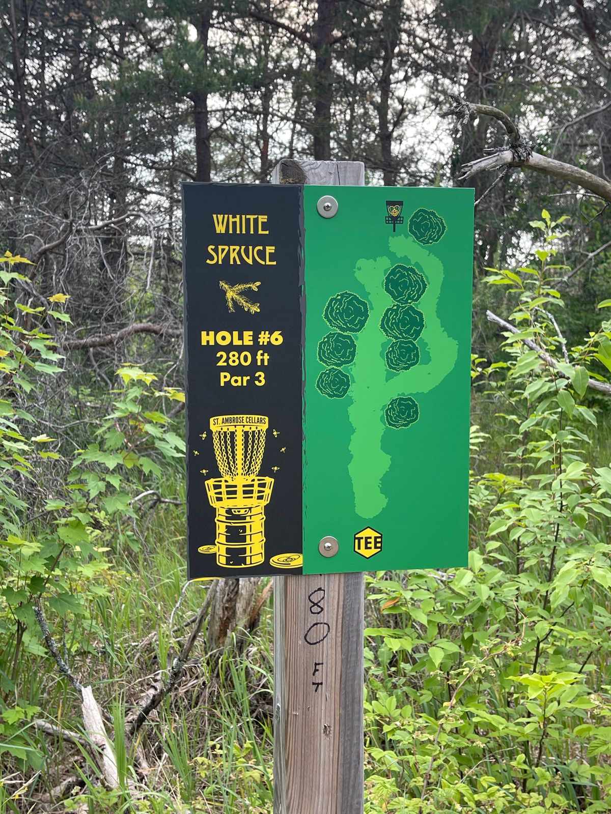 No 6 tee