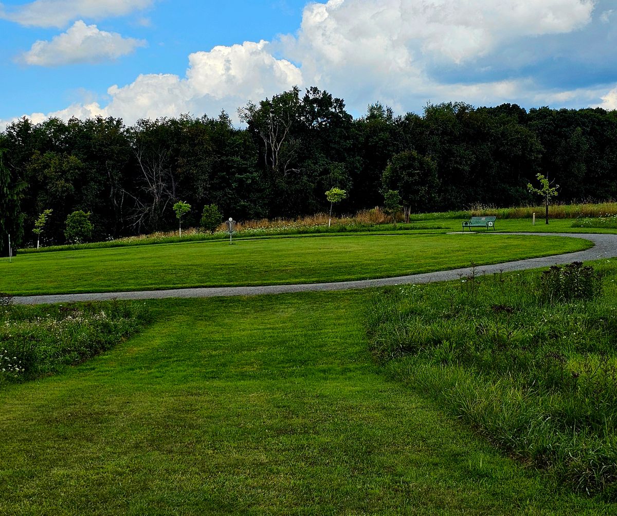 Island Green