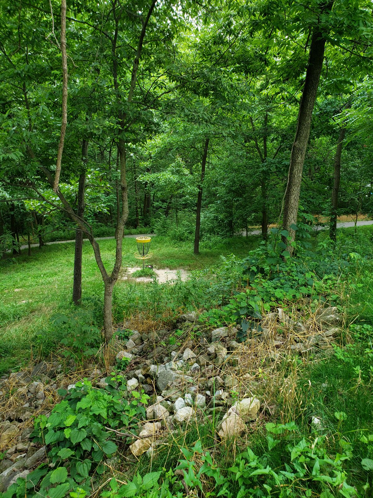 #8 Approach