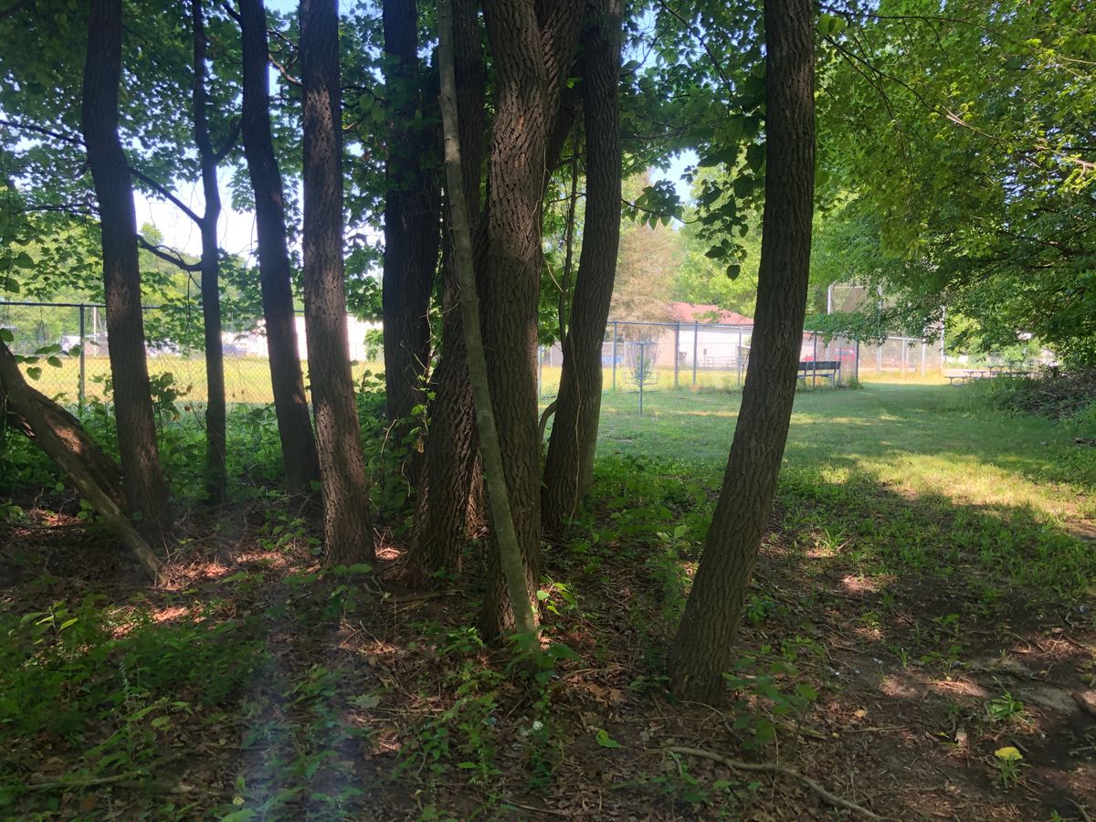 Just outside the circle hole 8