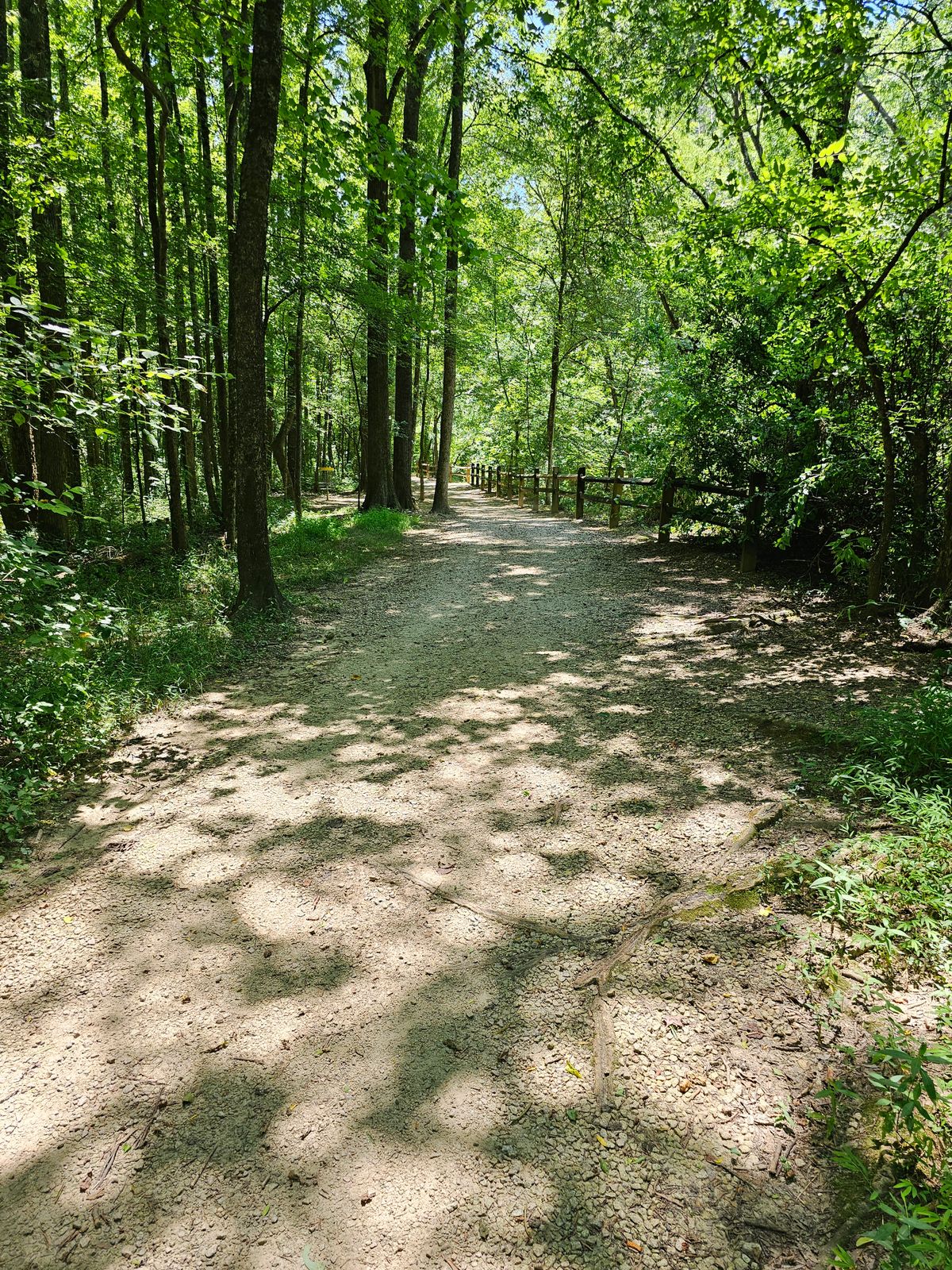 Hole 5's fairway