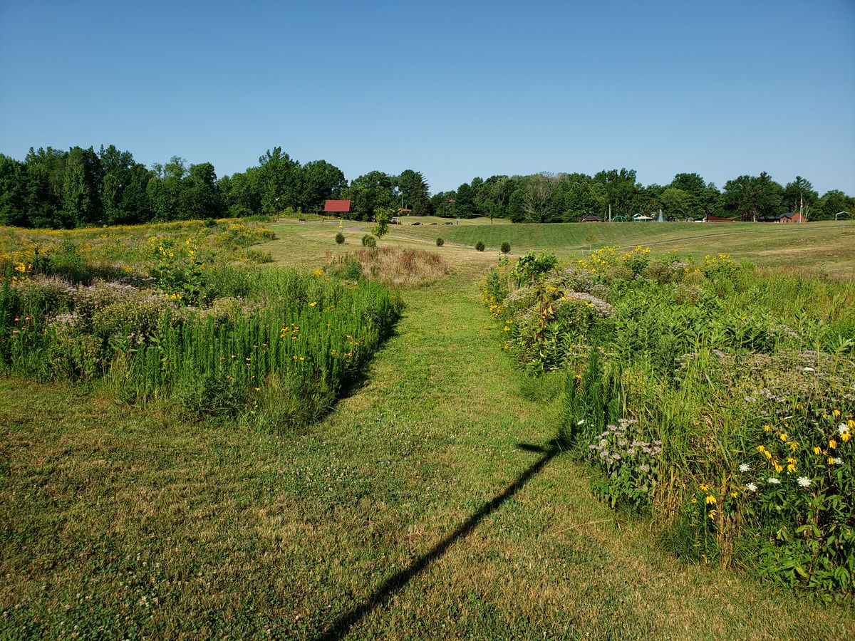 #9 Long Tee - Path to basket.