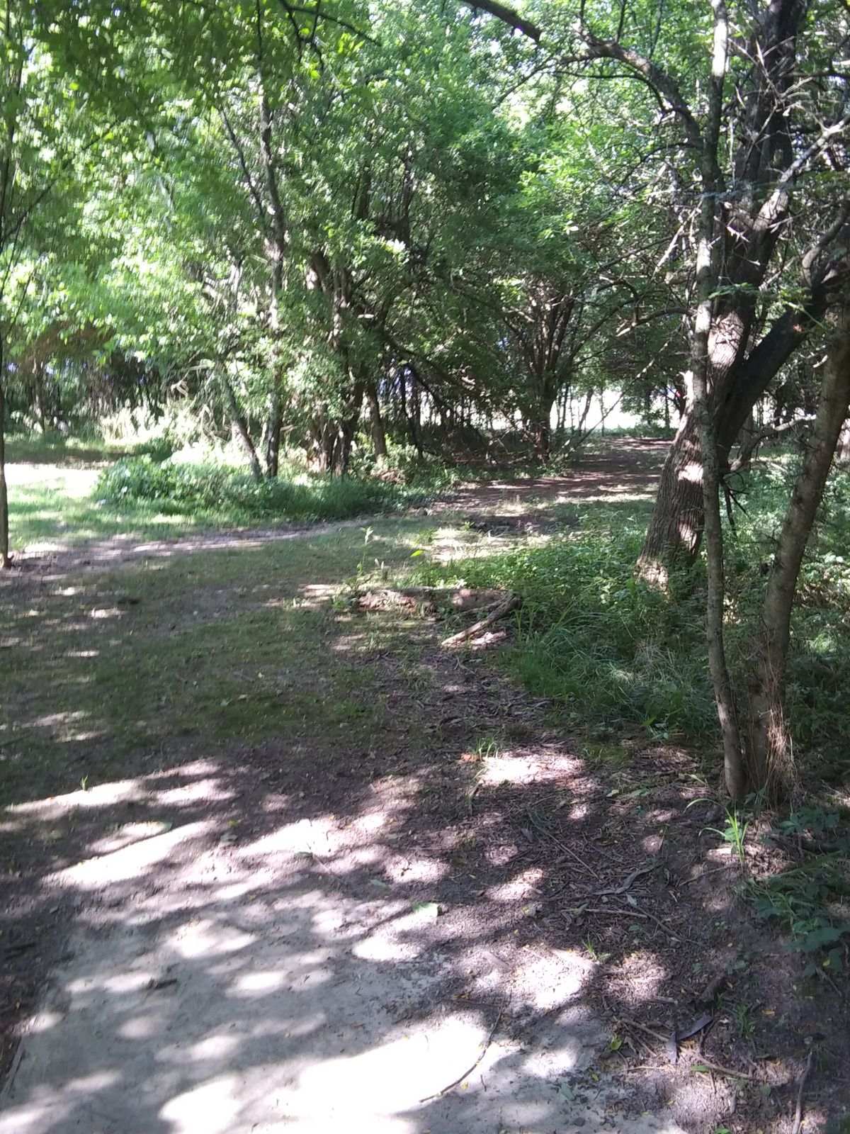 Tee 11