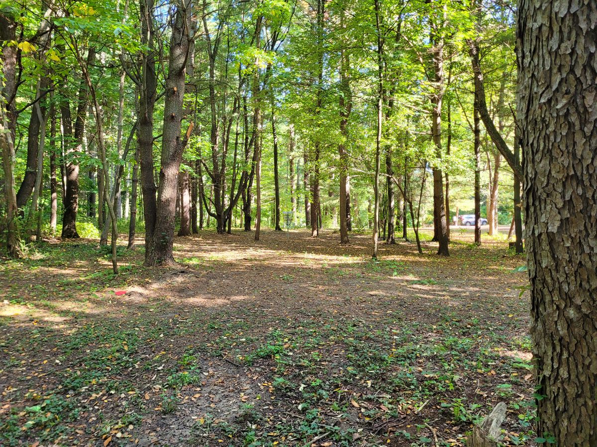 Hole 10