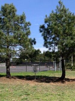 Hole 18 green and basket