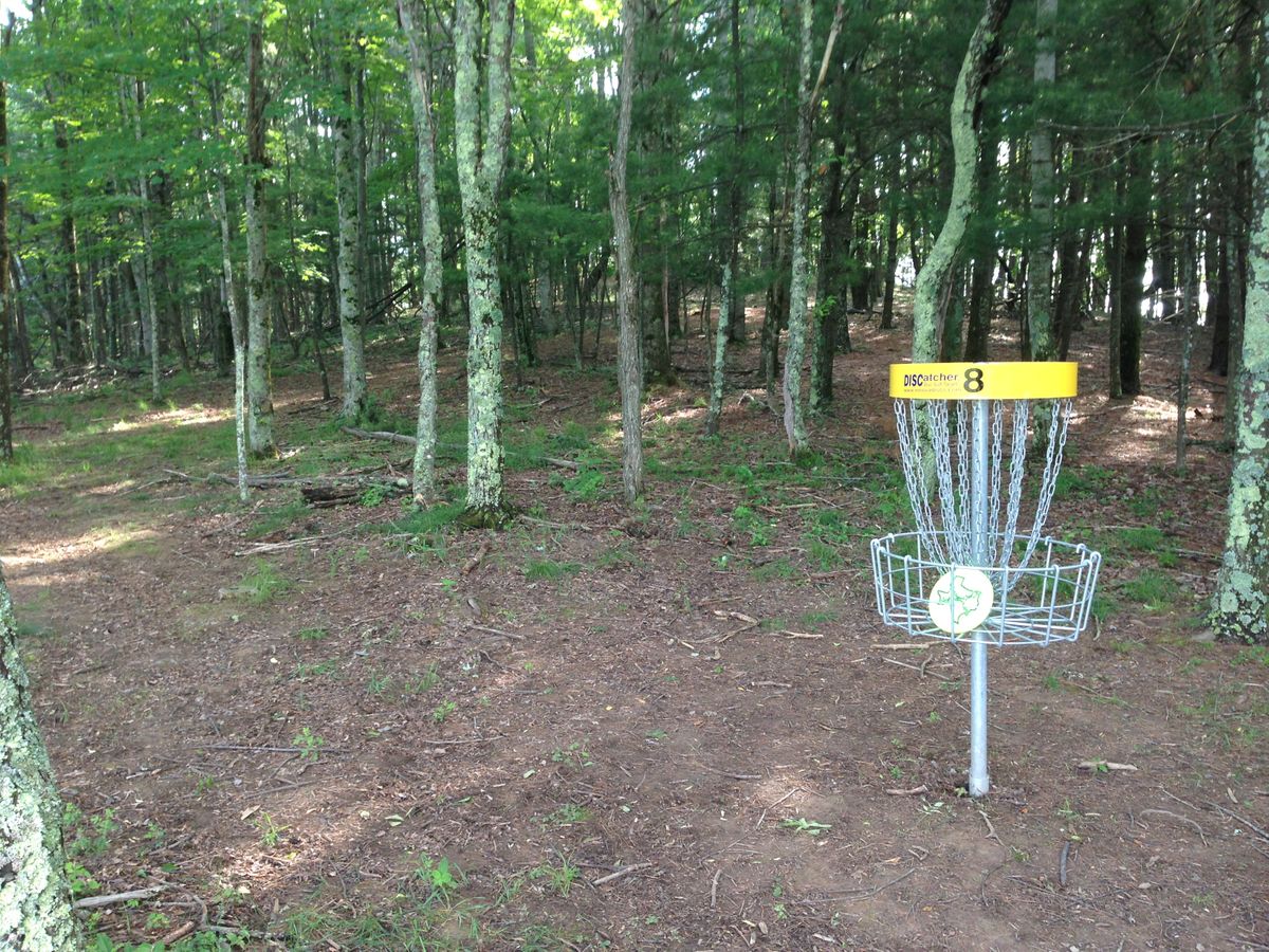Hole 8