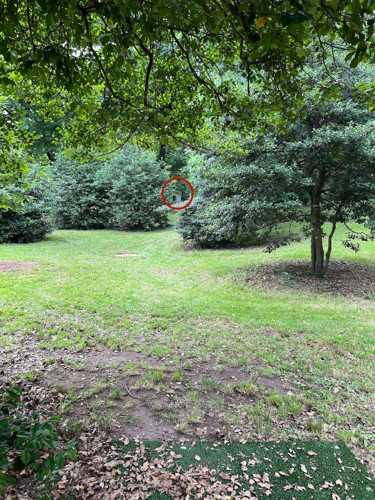 Hole 5