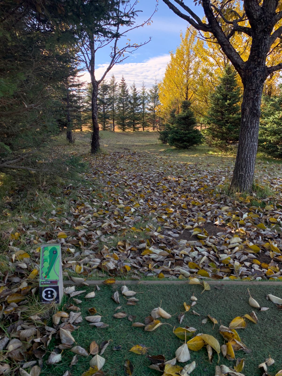 Teepad and fairway hole 8