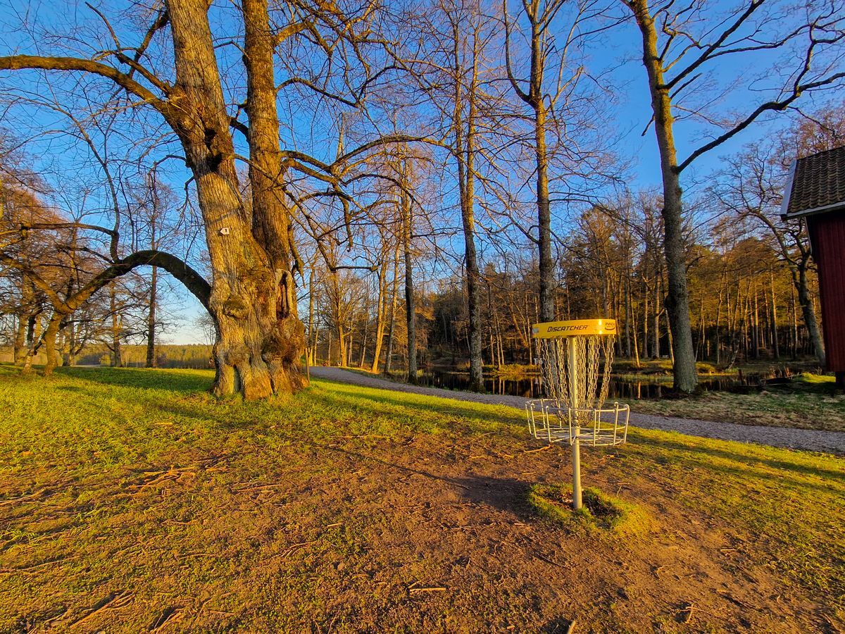 Hole 4